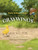 Graywings and Old Sly Fox by Mary Emma Tisinger, Johannes Christian, 9781968127428