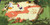 Bunny in the Middle by Linda Olafsdottir, 9780823442874