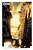 Callisto Limited Edition by Steve  Niles, Andrea Mutti, Lee Loughridge, 9781964226330