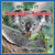 Who Am I? Australian Animals by Read With You Center for Excellence in STEAM Education, 9781944710750