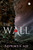 The Wall by Gautam Bhatia, 9789353578350