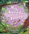 Make Sounds Like an Insect by Roberta Gibson, Olga Baumert, 9781536232783