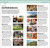 DK Top 10 Dublin (Top 10 lists for your perfect trip, plus an all-weather folded map) by DK Travel, 9780241836903