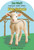 Bible Animals Touch and Feel by LeeAnn Dominick, 9781834042046