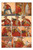 Shaolin Cowboy: Staying A.I.Live by Geof Darrow, 9781506756080