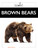 Brown Bears by Mari Bolte, 9798896804291