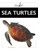 Sea Turtles by Mari Bolte, 9798896804338