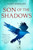 Son of the Shadows (Book Two of the Sevenwaters Trilogy) by Juliet Marillier, 9781250449078