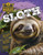 Sloth by Emma Elias, 9781761402999
