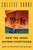 Y2K (How the 2000s Became Everything (Essays on the Future That Never Was)) by Colette Shade, 9780063333956