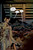Kingdom of Earth by David Dastmalchian, Leah Kilpatrick, Soo Lee, Frank Cvetkovic, 9781506754635