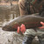 Fly Fishing Guide to Michigan (A Complete Guide to Locations, Hatches, and Tactics) by Jon Osborn, 9780811778671