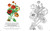 Flowers in the Bible Coloring Book by Editors of Thunder Bay Press, 9781667214313