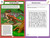 The Unofficial Roblox IRL Experience (Activity Book) by Chris Ruz, 9798337402017