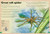 The Magnificent Book of Insects and Spiders by Barbara Taylor, Val Walerczuk, 9798886744965