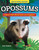 Kids' Backyard Safari: Opossums (Explore Their World and Learn Fun Facts) by Ann Tatlock, 9798890940049