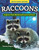Kids' Backyard Safari: Raccoons (Explore Their World and Learn Fun Facts) by Tammy Gagne, 9798890940063