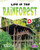 Life in the Rainforest by Robin  Johnson, 9781039892996