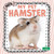 My Pet Hamster by Sheila Yazdani, 9781039891081