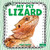My Pet Lizard by Sheila Yazdani, 9781039890459