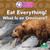 Eat Everything! What Is an Omnivore? by Sheila Yazdani, 9781039890626