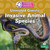 Uninvited Guests: Invasive Animal Species by Sheila Yazdani, 9781039890527