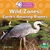 Wild Zones: Earth's Amazing Biomes by Sheila Yazdani, 9781039891234