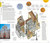 DK Top 10 Naples and the Amalfi Coast (Top 10 lists for your perfect trip, plus an all-weather folded map) by DK Travel, 9780241837030