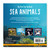 My First Pop-up Book: Sea Animals by Wonder House Books, 9789358560091