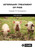 Veterinary Treatment of Pigs by Graham R Duncanson, 9781836993216