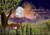 Finding Light in the Darkness (A Fox Under the Moon Book) by Stacey McNeill, 9798886744798