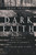 Dark Faith (New Essays on Flannery O'Connor's The Violent Bear It Away) by Susan Srigley, 9780268041380