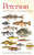Peterson Field Guide To Freshwater Fishes, Second Edition by Lawrence M. Page, Brooks M. Burr, 9780547242064