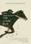 The Lions' Run by Sara Pennypacker, Jon Klassen, 9781250392794
