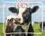 Cows by Lisa J. Amstutz, 9798875317477