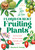 Florida's Best Fruiting Plants (Native and Exotic Trees, Shrubs, and Vines) by Charles R Boning, 9781683342748