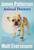 Animal Doctors (Veterinarians' Favorite Stories About Cats and Dogs, Horses and Elephants, and a Whale) by James Patterson, Matt Eversmann, Chris Mooney, 9780316569484
