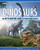 Dinosaurs (The Myth-Busting Guide to Prehistoric Beasts) by BBC Focus, 9781641240314