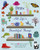 Draw All Life's Beautiful Things (More Than 30 Simple Projects to Draw from Nature and Everyday Life) by Carole Aufranc, Abigail Burch, Amanda Hillier, Carole Aufranc, Abigail Burch, Amanda Hillier, 9781398867468