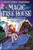 El caballero del alba (Novela gráfica) / The Knight at Dawn Graphic Novel (Spanish Edition) by Mary Pope Osborne, 9798890989659