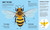 Small Steps, Big Discoveries: Bees by Cristina Banfi, Elisa  Varetti, 9788854422438