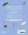 Naturepedia: Bugs and Other Little Creatures by Danio Miserocchi, Cocai Design, 9788854422674