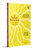 The Yellow Metaphor (Poems from Assam | Contemporary Indian Poetry in Translation from the North-East on Memory, Longing and Identity) by Jiban Narah, Anindita Kar, 9780143471677