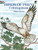 Birds of Prey Coloring Book by John Green, 9780486259895