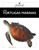 Las tortugas marinas (Spanish Edition) by Mari Bolte, 9798896804390