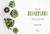 How to Houseplant (A Beginner's Guide to Making and Keeping Plant Friends) by Heather Rodino, 9781454932901