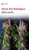 Mala madre (Novela) / Bad Mother  (A Novel) (Spanish Edition) by María Paz Rodríguez, 9786073943208