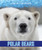 Polar Bears by Rita Santos, 9781978512191