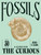 Fossils by Susan E. Clark, 9781807121952