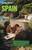 Lonely Planet Spain by Lonely Planet, 9781837588978